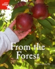 Fantastic Forest Red Level Non-Fiction: From the Forest - Book