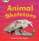 Bug Club Phonics - Phase 5 Unit 17: Animal Skeletons - Book