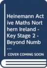 Heinemann Active Maths Northern Ireland - Key Stage 2 - Beyond Number - Teacher Activity Cards - Book