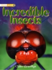 Literacy World Non-Fiction Stage 1 Incredible Insects - Book