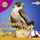 My Gulf World and Me Level 4 non-fiction reader: Fantastic falcons - Book
