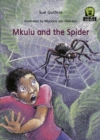 Mkulu and the Spider - Book