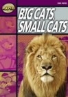 Rapid Reading: Big Cats Small Cats (Stage 1, Level 1A) - Book