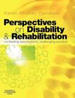 Perspectives on Disability and Rehabilitation : Contesting Assumptions, Challenging Practice - Book