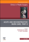 Acute and Reconstructive Burn Care, Part II, An Issue of Clinics in Plastic Surgery : Volume 51-3 - Book