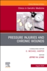 Pressure Injuries & Chronic Wounds, An Issue of Clinics in Geriatric Medicine : Volume 40-3 - Book