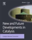 New and Future Developments in Catalysis : Catalytic Biomass Conversion - eBook