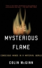 The Mysterious Flame : Conscious Minds in a Material World - Book