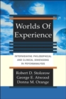 Worlds Of Experience : Interweaving Philosophical And Clinical Dimensions In Psychoanalysis - Book