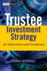 Trustee Investment Strategy for Endowments and Foundations - eBook