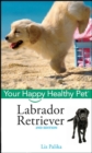 Labrador Retriever : Your Happy Healthy Pet - eBook