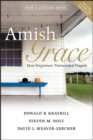 Amish Grace : How Forgiveness Transcended Tragedy - Book