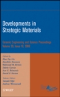 Developments in Strategic Materials, Volume 29, Issue 10 - Book
