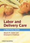 Labor and Delivery Care : A Practical Guide - Book