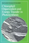 Chlorophyll Organization and Energy Transfer in Photosynthesis - eBook