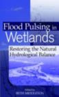 Flood Pulsing in Wetlands : Restoring the Natural Hydrological Balance - eBook