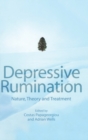 Depressive Rumination : Nature, Theory and Treatment - Book