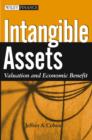 Intangible Assets : Valuation and Economic Benefit - Book