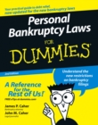 Personal Bankruptcy Laws For Dummies - Book