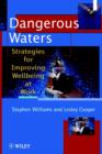 Dangerous Waters : Strategies for Improving Wellbeing at Work - Book