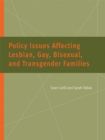 Policy Issues Affecting Lesbian, Gay, Bisexual, and Transgender Families - Book