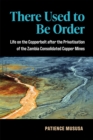 There Used to Be Order : Life on the Copperbelt after the Privatisation of the Zambia Consolidated Copper Mines - Book