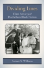 Dividing Lines : Class Anxiety and Postbellum Black Fiction - Book