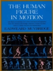 The Human Figure in Motion - eBook