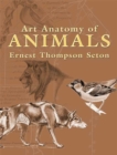 Art Anatomy of Animals - eBook