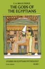 The Gods of the Egyptians, Volume 1 - eBook