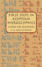 First Steps in Egyptian Hieroglyphics : A Book for Beginners - eBook