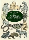Big Book Animal Illustrations - Book