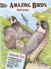 Amazing Birds - Book