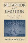 Metaphor and Emotion : Language, Culture, and Body in Human Feeling - eBook