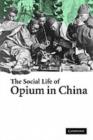 The Social Life of Opium in China - eBook