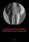 Gallery of Fluid Motion - eBook