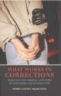 What Works in Corrections : Reducing the Criminal Activities of Offenders and Deliquents - eBook