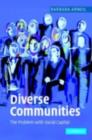Diverse Communities : The Problem with Social Capital - eBook