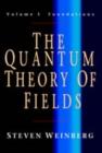 The Quantum Theory of Fields: Volume 1, Foundations - eBook