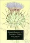 Common Families of Flowering Plants - eBook