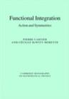 Functional Integration : Action and Symmetries - eBook