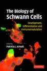 Biology of Schwann Cells : Development, Differentiation and Immunomodulation - eBook