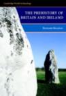 Prehistory of Britain and Ireland - eBook