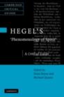 Hegel's Phenomenology of Spirit : A Critical Guide - eBook