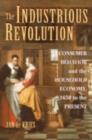 The Industrious Revolution : Consumer Behavior and the Household Economy, 1650 to the Present - eBook
