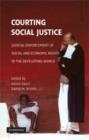 Courting Social Justice : Judicial Enforcement of Social and Economic Rights in the Developing World - eBook