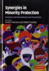 Synergies in Minority Protection : European and International Law Perspectives - eBook