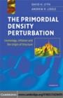 Primordial Density Perturbation : Cosmology, Inflation and the Origin of Structure - eBook