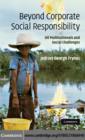 Beyond Corporate Social Responsibility : Oil Multinationals and Social Challenges - eBook