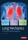 Lung Mechanics : An Inverse Modeling Approach - eBook